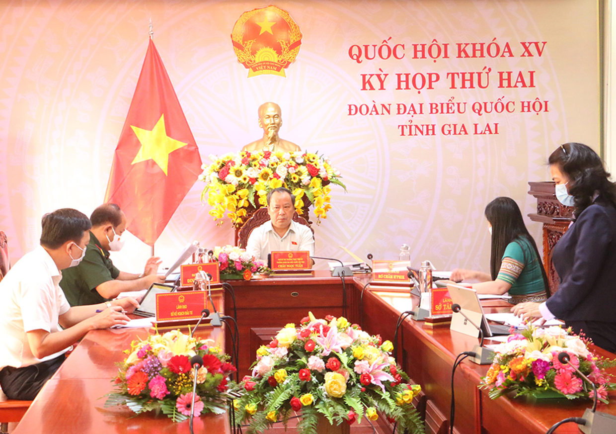 Đoàn đại biểu Quốc hội tỉnh Gia Lai tham gia góp ý dự thảo Luật Kinh doanh bảo hiểm (sửa đổi)