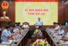GIA LAI PEOPLE'S COMMITTEE WORKING ON INVESTMENT ACTIVITIES IN PROVINCIAL INDUSTRIAL PARKS AND CLUSTERS (IPCs)