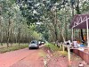 Chấp thuận chủ trương đầu tư Khu công nghiệp Đak Đoa với nguồn vốn hơn 2.113 tỷ đồng