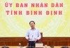 Chủ tịch UBND tỉnh Phạm Anh Tuấn phát biểu chỉ đạo tại buổi làm việc