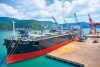 Tháng 12-2025, có 1,24 triệu tấn hàng hóa thông qua Cảng Quy Nhơn, mốc cao nhất từ trước đến nay trong một tháng. Ảnh: ĐVCC