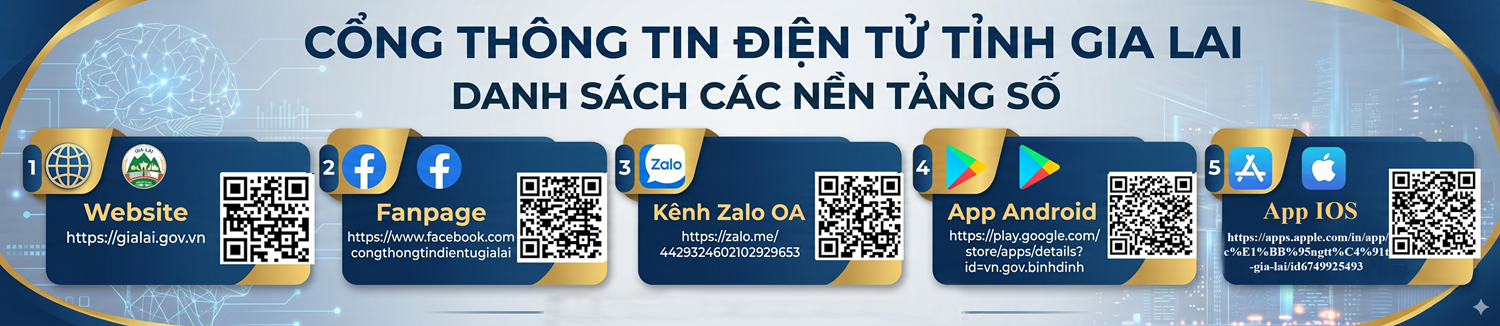 Nền tảng số Gia Lai