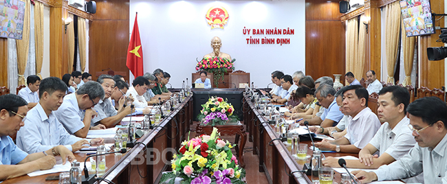 Đại biểu dự hội nghị tại điểm cầu Bình Định. Ảnh: N.H